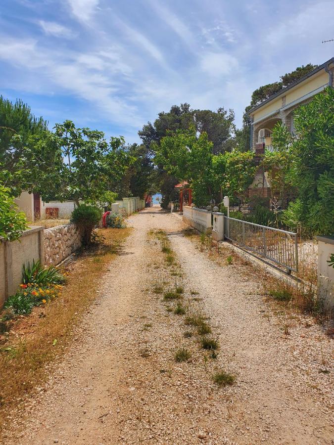 Apartmani Steli فير المظهر الخارجي الصورة